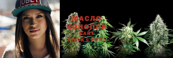хмурый Арсеньев