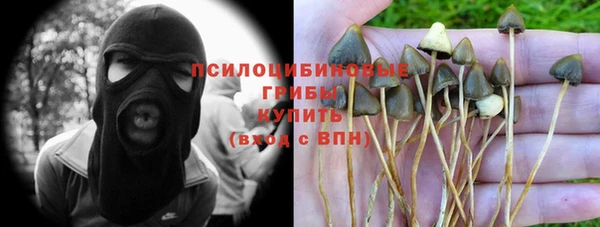 прущая мука Армянск