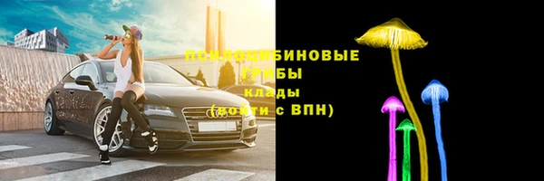 Альфа ПВП Аркадак