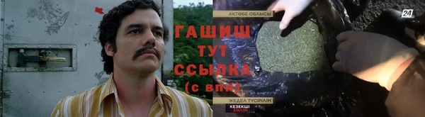 хмурый Арсеньев