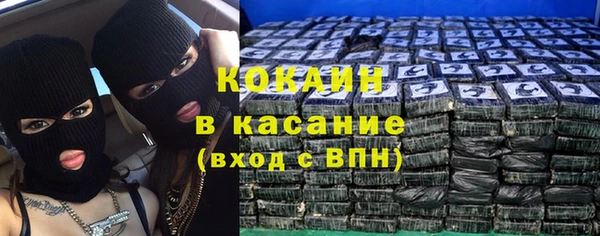 хмурый Арсеньев