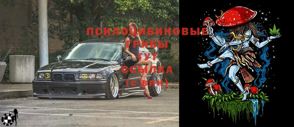 прущие крисы Чегем