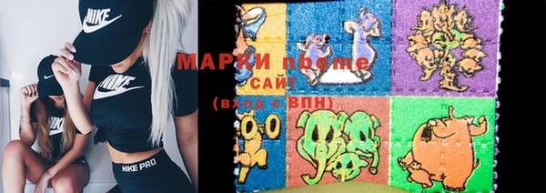 хмурый Арсеньев