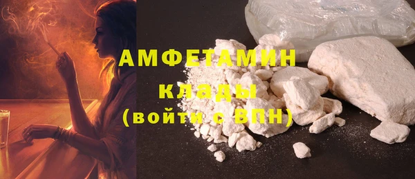 хмурый Арсеньев