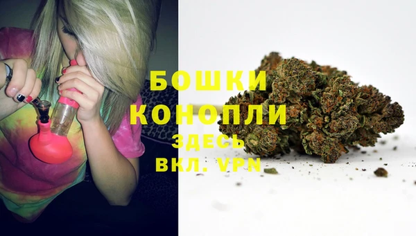 хмурый Арсеньев