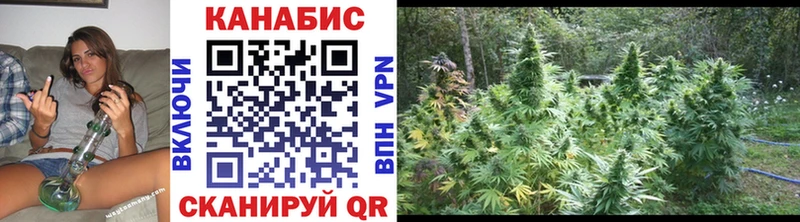 купить   Евпатория  Конопля индика 
